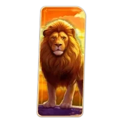 Lion
Safari